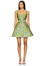 view 1 of 4 Zenobia Mini Dress in Floral Multi