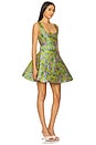 view 2 of 4 Zenobia Mini Dress in Floral Multi