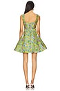 view 3 of 4 Zenobia Mini Dress in Floral Multi