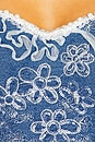 view 4 of 4 Anneliese Midi Dress in Blue & Ivory