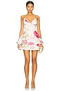 view 1 of 3 Rosalina Mini Dress in Ivory Floral