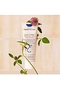 view 6 of 6 CRÈME HYDRATANTE LAIT CREME RETINOL-LIKE in 