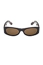 view 1 of 3 Oval Sunglasses in Shiny Black, Khaki, & Brown