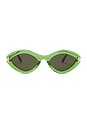 view 1 of 3 Oval Sunglasses in Shiny Light Green