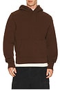 view 1 of 4 Standard Hoodie in Brunette