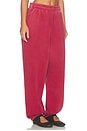 view 4 of 6 Standard Sweatpant in Red Clay