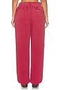 view 6 of 6 Standard Sweatpant in Red Clay