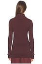 view 3 of 4 High Neck Henley Top in Umber