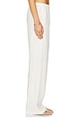 view 3 of 6 Linen Everywhere Pant in Undyed