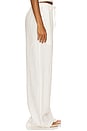 view 3 of 6 Linen Resort Pant in Undyed