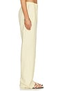 view 3 of 6 Twill Everywhere Pant in Flan