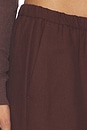 view 6 of 6 Twill Everywhere Pant in Chocolate