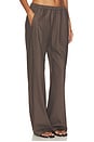 view 4 of 7 PANTALON PANT in Heather Brown