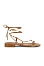 view 1 of 5 Susan Sandal in Tan Nappa
