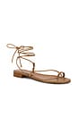 view 2 of 5 Susan Sandal in Tan Nappa