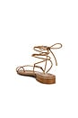view 3 of 5 Susan Sandal in Tan Nappa