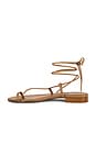view 5 of 5 Susan Sandal in Tan Nappa