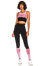 view 4 of 4 Bella Bralette in Onyx & Pink