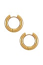 view 2 of 3 RINGO イヤリング in Gold
