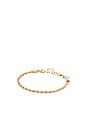 view 1 of 2 BRAZALETE HARPER in Gold