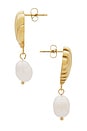 view 2 of 2 Swirl Pearl Earring in Gold