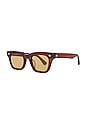 view 2 of 3 Stereo Sunglasses in Maple Polished & Brown