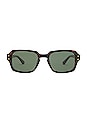 view 1 of 3 Wilson Sunglasses in Tortoise Polished & Green Polarized