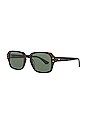 view 2 of 3 Wilson Sunglasses in Tortoise Polished & Green Polarized