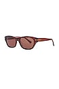 view 2 of 3 Frequency Sunglasses in Maple Polished & Brown