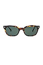 view 1 of 3 GAFAS DE SOL in Tortoise Polished & Green