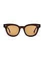 view 1 of 3 GAFAS DE SOL DYLAN ZERO in Maple Polished & Brown