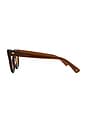 view 3 of 3 GAFAS DE SOL DYLAN ZERO in Maple Polished & Brown