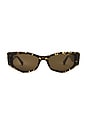 view 1 of 3 Guilty Sunglasses in Crystal Dark Tortoise Polished & Brown Polarized