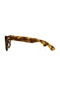 view 3 of 3 Stereo Sunglasses in Light Tortoise Polished & Brown Polarized