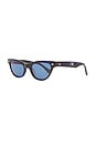 view 2 of 3 Veil Sunglasses in Blue Tortoise Polished & Blue