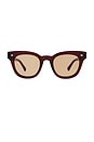 view 1 of 3 Dylan Sunglasses in Cola Polished & Brown
