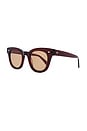 view 2 of 3 Dylan Sunglasses in Cola Polished & Brown
