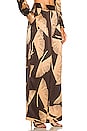 view 2 of 4 Saganne Pant in Brown
