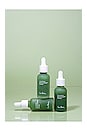 view 7 of 10 Quandong Green Booster Serum in 