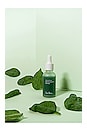 view 8 of 10 Quandong Green Booster Serum in 