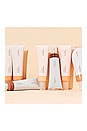 view 6 of 7 BASE OAT MILK FOUNDATION in Maple