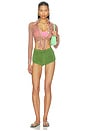 view 5 of 6 Mini Terry Track Short in Fern