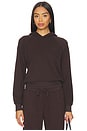 view 1 of 4 Shrunken Lightweight French Terry Hoodie Sweatshirt in Espresso