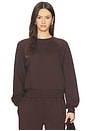 view 1 of 5 Shrunken Raglan Sweatshirt in Espresso