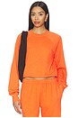 view 1 of 5 Shrunken Raglan Sweatshirt in Papaya
