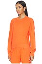 view 2 of 5 Shrunken Raglan Sweatshirt in Papaya