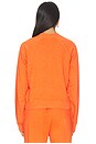 view 3 of 5 Shrunken Raglan Sweatshirt in Papaya