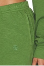 view 6 of 6 PANTALÓN DEPORTIVO DE NOVIO CON BOLSILLO in Fern