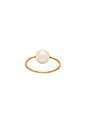 view 5 of 5 Pearl Ring in 14k Gold