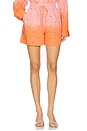 view 1 of 6 Hichigan Embellished Short in Marzipani